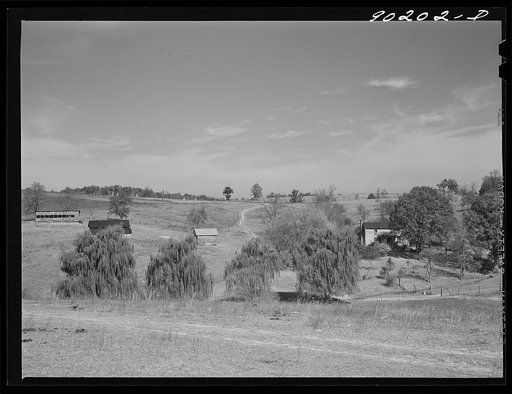Untitled photo, possibly related to: R.L. Howard's farm, on whose land FSA (Farm Security Administration) built a home for defense worker F.A. Lindsey in their rural houses program. Radford, Virginia