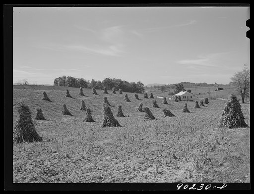 Rural home built for defense worker Hasan Charles Bellhasan on farm of E. Wesley Altizer, near Radford, Virginia