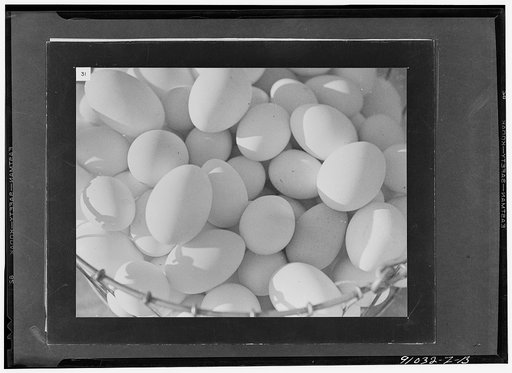 Victory in an eggshell, a filmstrip prepared by the FSA (Farm Security Administration) in September, 1942. Frame number thirty-one