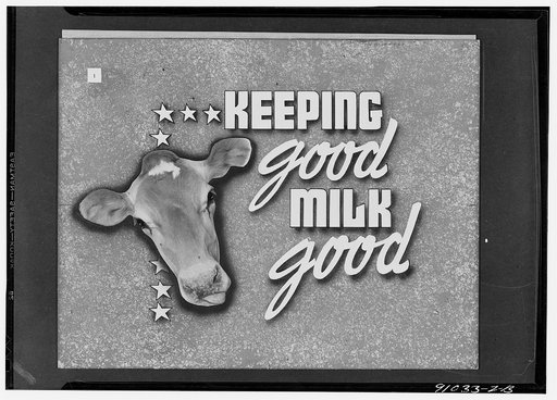 Keeping good milk good, a filmstrip prepared by the FSA (Farm Security Administration) in September, 1942. Frame number one
