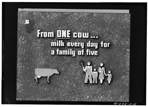 Keeping good milk good, a filmstrip prepared by the FSA (Farm Security Administration) in September, 1942. Frame number seven