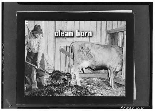 Keeping good milk good, a filmstrip prepared by the FSA (Farm Security Administration) in September, 1942. Frame number ten