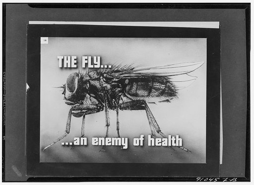 Keeping good milk good, a filmstrip prepared by the FSA (Farm Security Administration) in September, 1942. Frame number one