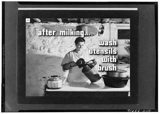 Keeping good milk good, a filmstrip prepared by the FSA (Farm Security Administration) in September, 1942. Frame number twenty-seven
