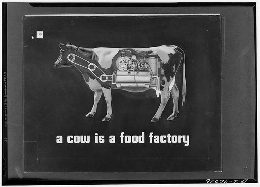 More milk for victory, a filmstrip prepared by the FSA (Farm Security Administration) in September, 1942. Frame number ten