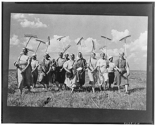 Klishevo collective farm, near Moscow, USSR (Union of Soviet Socialist Republics). A group of women collective farmers replace the men who have left for the front