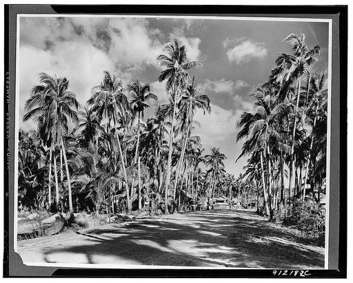 Zamboleo province, Phillipine Islands. A first-class road