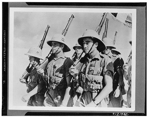 Fighting French troops in Africa