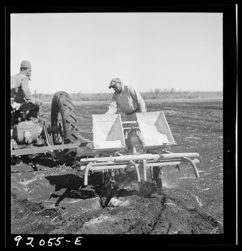 Untitled photo, possibly related to: Dumping bag of fertilizer into combination bean planter and fertilizer machine used on large farming areas around Lake Okeechobee, Florida
