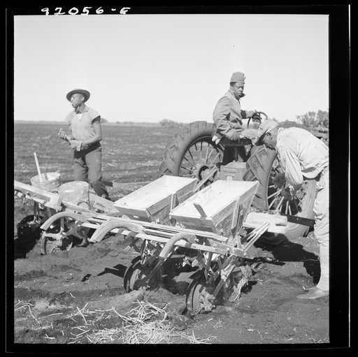 Untitled photo, possibly related to: Dumping bag of fertilizer into combination bean planter and fertilizer machine used on large farming areas around Lake Okeechobee, Florida