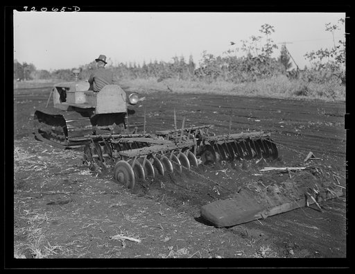 Untitled photo, possibly related to: Sugarcane fields. Tractor-driven disc plough and harrow is used on many large flat muck land farms. This farm is about 2000 acres. Near Lake Okeechobee and Clewiston, Florida