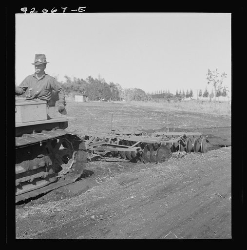 Untitled photo, possibly related to: Sugarcane fields. Tractor-driven disc plough and harrow is used on many large flat muck land farms. This farm is about 2000 acres. Near Lake Okeechobee and Clewiston, Florida