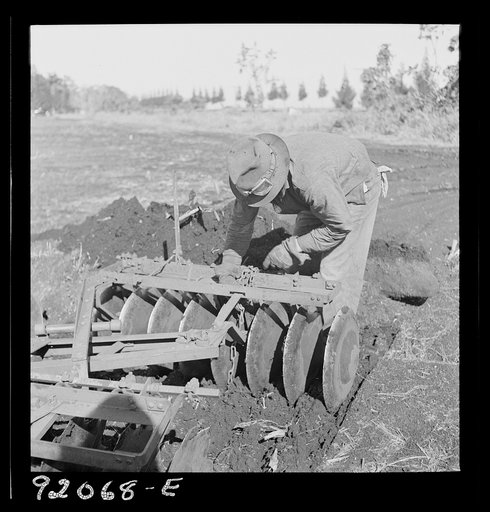 Untitled photo, possibly related to: Sugarcane fields. Tractor-driven disc plough and harrow is used on many large flat muck land farms. This farm is about 2000 acres. Near Lake Okeechobee and Clewiston, Florida
