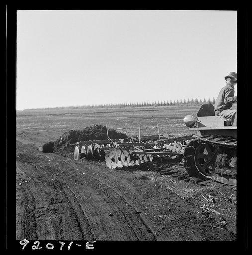 Untitled photo, possibly related to: Sugarcane fields. Tractor-driven disc plough and harrow is used on many large flat muck land farms. This farm is about 2000 acres. Near Lake Okeechobee and Clewiston, Florida