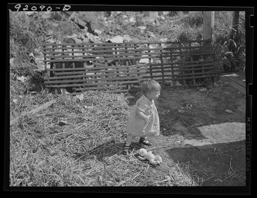 Untitled photo, possibly related to: Migratory packinghouse worker's child (see 51134-D and 51137-D). Near Belle Glade, Florida