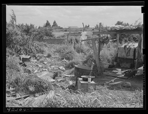 Untitled photo, possibly related to: Migratory packinghouse workers' trailer (see 51118-D) showing garbage disposal and no toilet facilities. Belle Glade, Florida