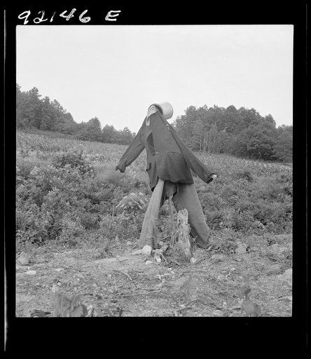 Untitled photo, possibly related to: Scarecrow on a newly cleared field with stumps near Roxboro, North Carolina