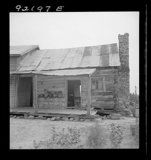 Untitled photo, possibly related to: Negro sharecropper house on dirt. Dirt log cabin on right is much older than attached frame cabin on left. Both have halfstones. Note dog run and flowering plants in tin can and tubs. This is typical of Negro dwellings. Log build visible. Through the back door is