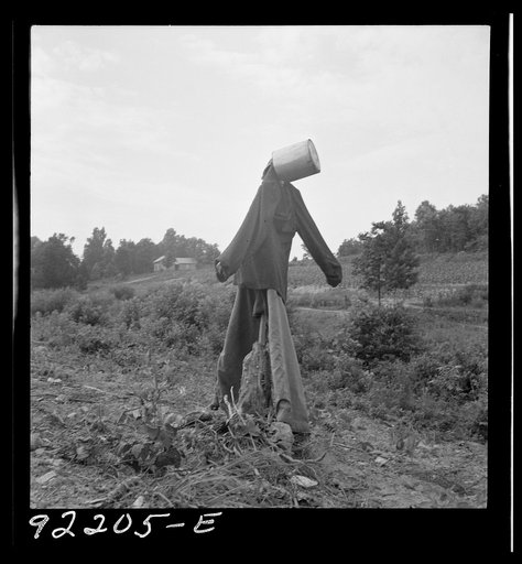 Untitled photo, possibly realted to: Scarecrow on a newly cleared field with stumps near Roxboro, North Carolina