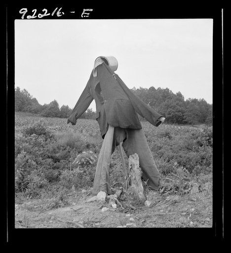 Untitled photo, possibly realted to: Scarecrow on a newly cleared field with stumps near Roxboro, North Carolina