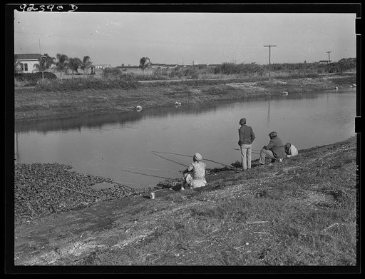 Untitled photo, possibly related to: Migratory workers fishing to eat. Belle Glade, Florida