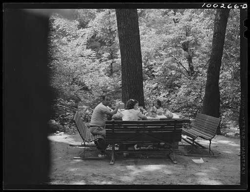 Washington, D.C. Sunday picnic in Rock Creek Park