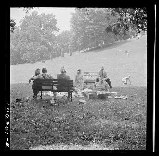 Untitled photo, possibly related to: Washington, D.C. A Sunday picnic in Rock Creek Park