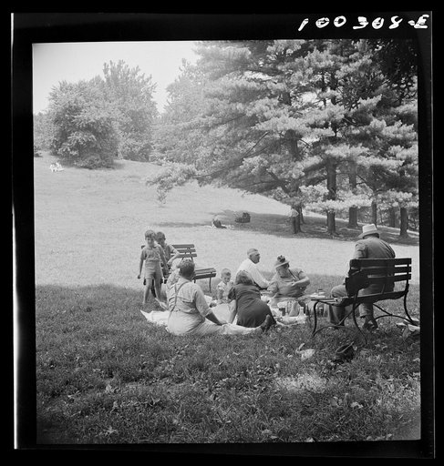 Untitled photo, possibly related to: Washington, D.C. A Sunday picnic in Rock Creek Park