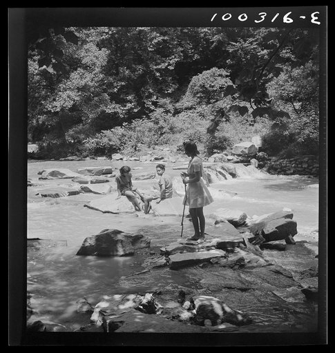 Washington, D.C. Wading in Rock Creek Park