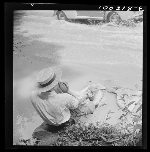 Washington, D.C. Wader resting on the edge of an automobile ford in Rock Creek Park