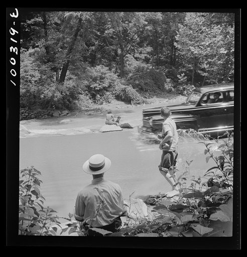 Untitled photo, possibly related to: Washington, D.C. Wader resting on the edge of an automobile ford in Rock Creek Park
