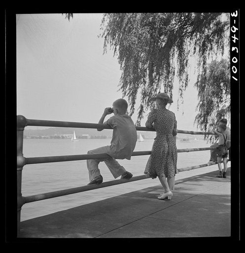 Untitled photo, possibly related to: Washington, D.C. Old and young watching sailboats at Haines Point [i.e. Hains Point