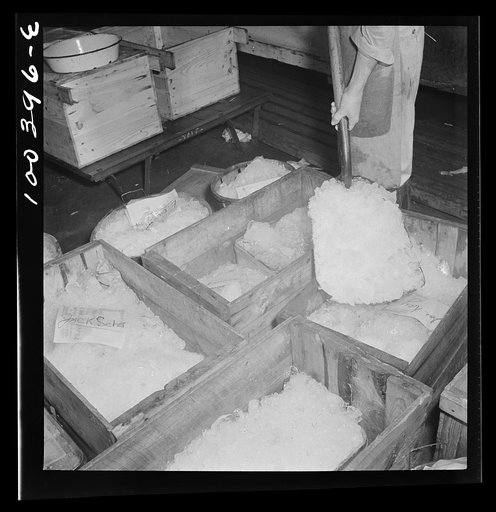 Washington, D.C. District grocery store warehouse on 4th Street S.W. Packing fish in ice for delivery to various stores belonging to members of the cooperative association