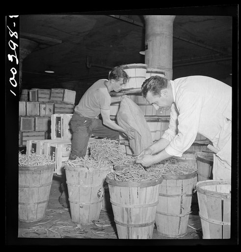 Washington, D.C. District grocery store warehouse on 4th Street S.W. Produce department. Assistant department head checking over string beans
