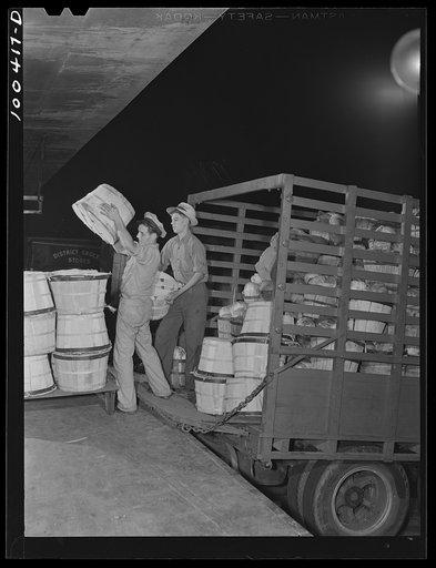 Washington, D.C. District grocery store warehouse on 4th Street S.W. Unloading cabbages and spinach