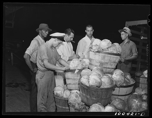 Washington, D.C. District grocery store warehouse on 4th Street S.W. Checking over a shipment of cabbage which has just been unloaded
