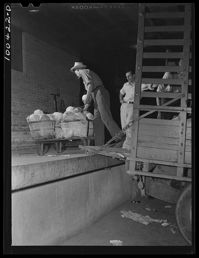 Washington, D.C. District grocery store warehouse on 4th Street S.W. Unloading cabbages