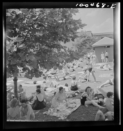 Untitled photo, possibly related to: Washington, D.C. Sunbathers on the grass next to the municipal swimming pool on Sunday