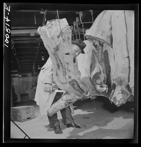 Untitled photo, possibly related to: Washington, D.C. Quartering beef in the District grocery store warehouse cold room