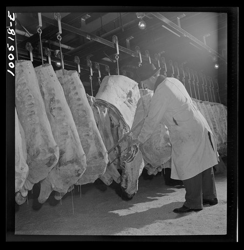 Untitled photo, possibly related to: Washington, D.C. Quartering beef in the District grocery store warehouse cold room