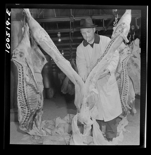 Washington, D.C. Quartering beef in the District grocery store warehouse cold room