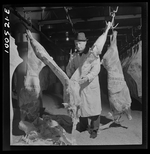 Untitled photo, possibly related to: Washington, D.C. Quartering beef in the District grocery store warehouse cold room