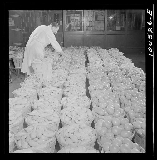 Washington, D.C. Assistant foreman of produce department at the District grocery store warehouse checking over a load of squash and tomatoes which has just been unloaded from trucks