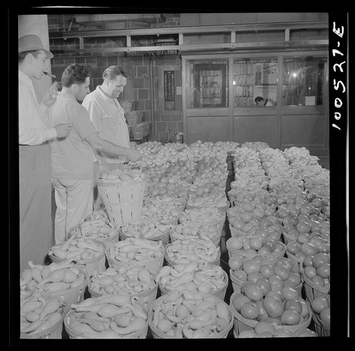 Washington, D.C. Assistant foreman of produce department at the District grocery store warehouse checking over a load of squash and tomoatoes which has just been unloaded from trucks