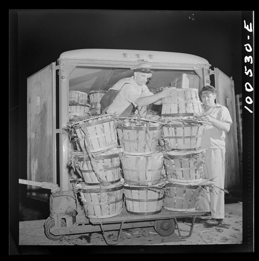 Washington, D.C. Unloading corn at the District grocery store warehouse