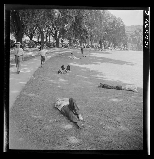 Washington, D.C. Ellipse Park on a hot Sunday