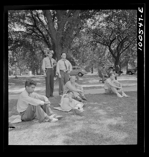 Washington, D.C. Spectators at a baseball game; in the back are two bus drivers