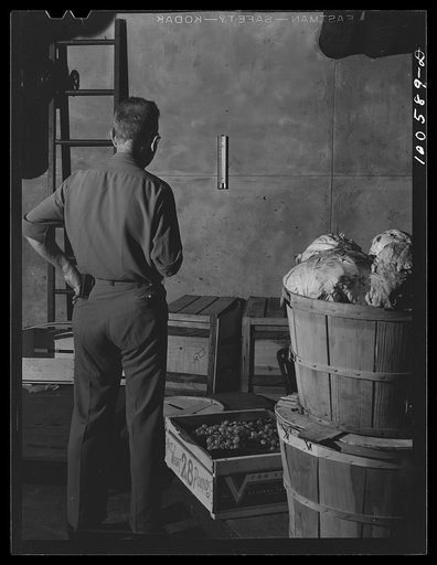 Washington, D.C. Engineer checking on the temperature in a vegetable storage room at District grocery store warehouse
