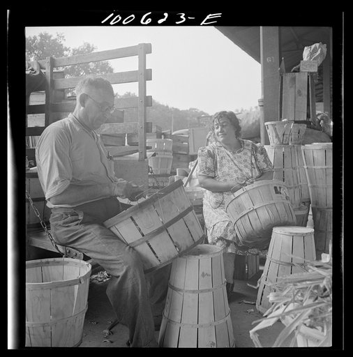 Washington, D.C. Preparing vegetables for sale at the farmers' market