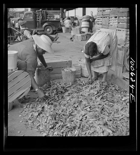 Washington, D.C. Shelling lima beans at the farmers' market